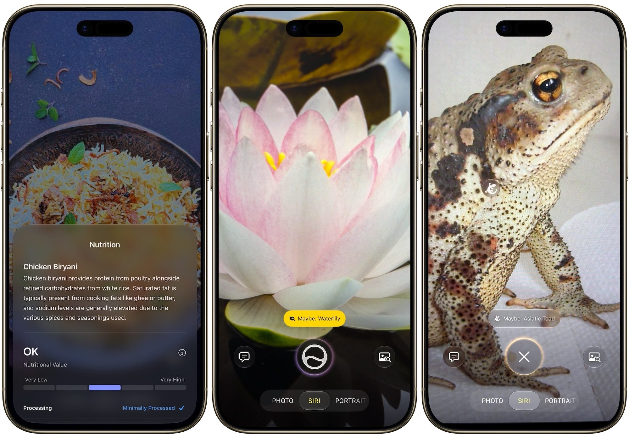 Using Siri AI to identify flowers and animals