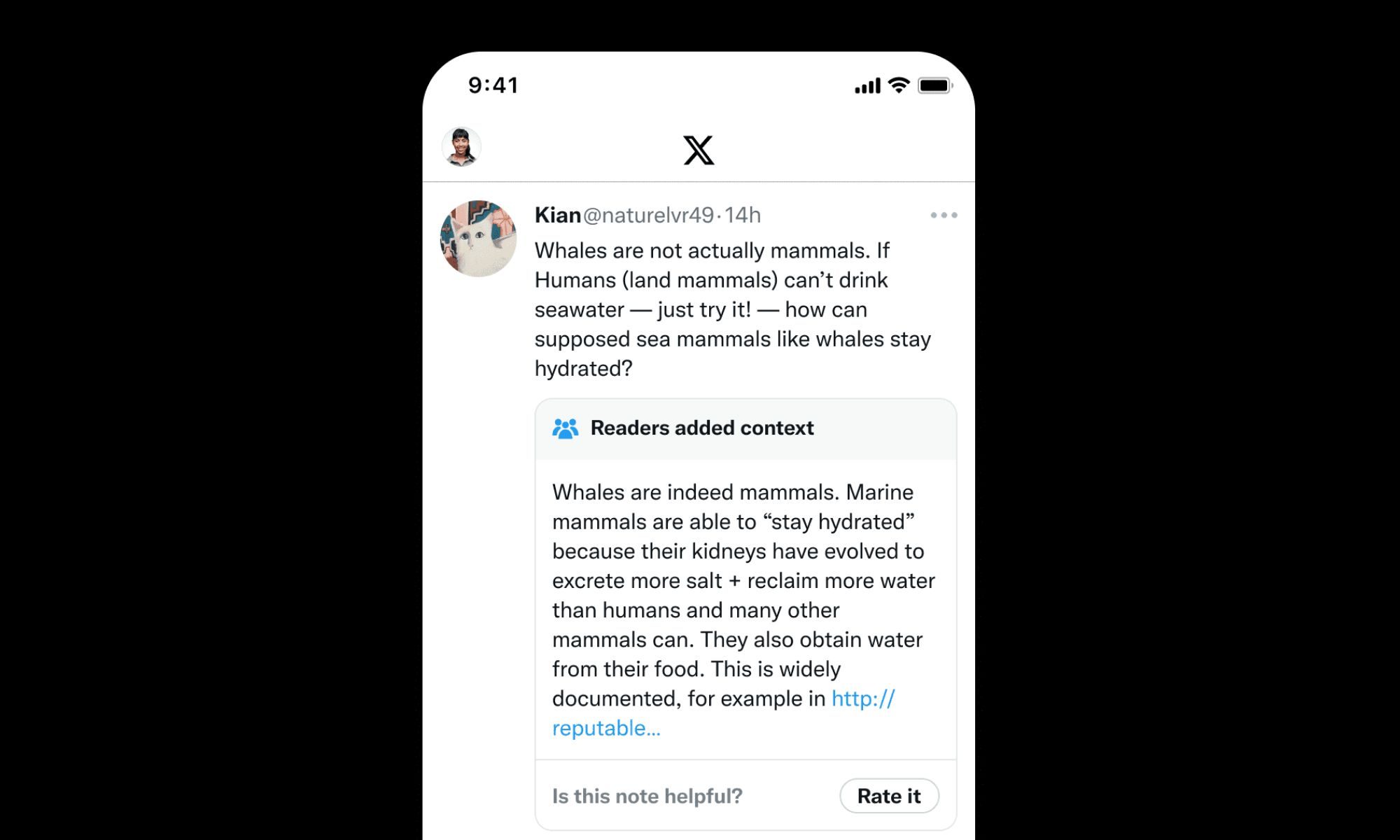 X Community Notes sample image