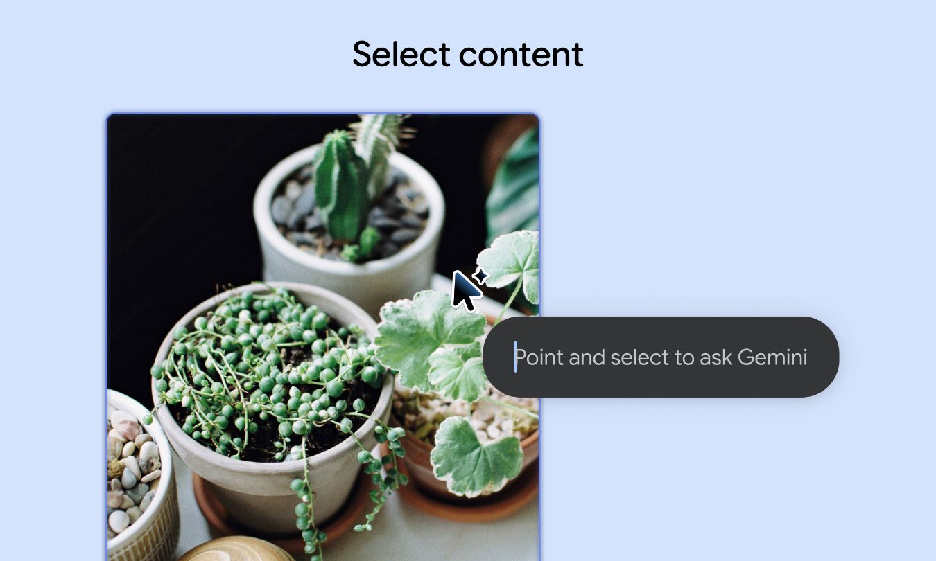 Plant, Potted Plant, Herbs