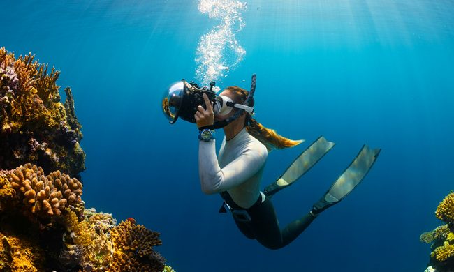 Nature, Outdoors, Water, Scuba