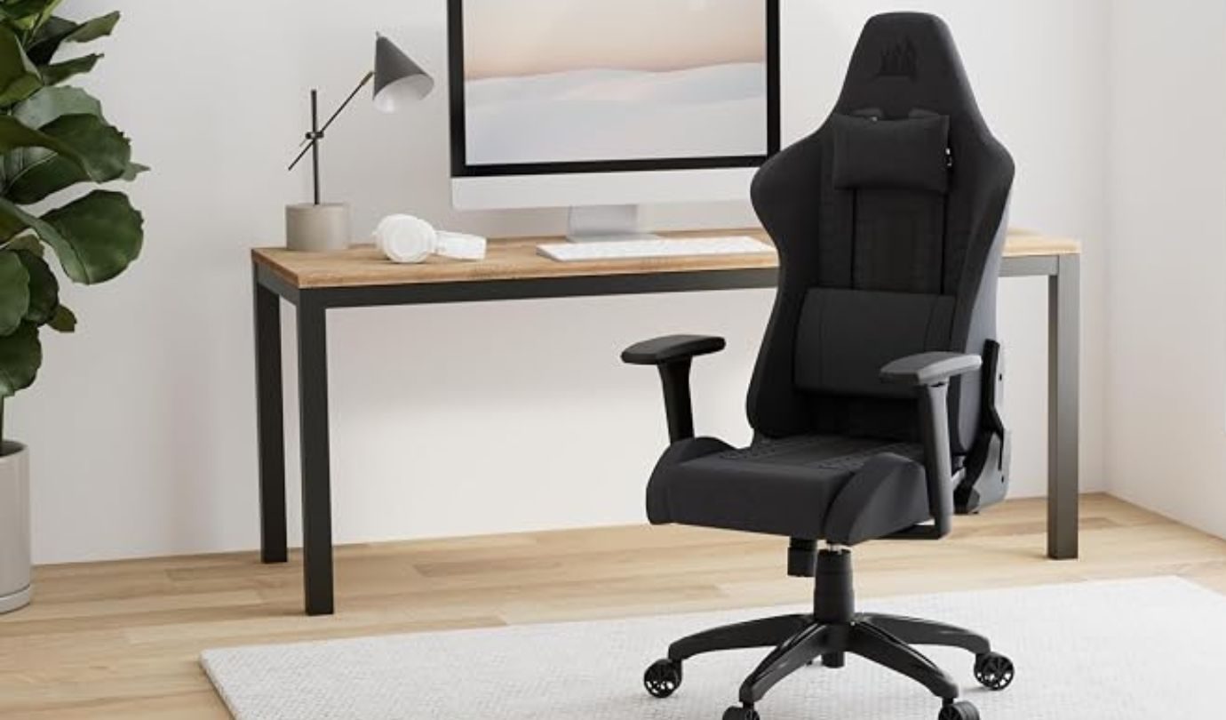 Furniture, Chair, Indoors