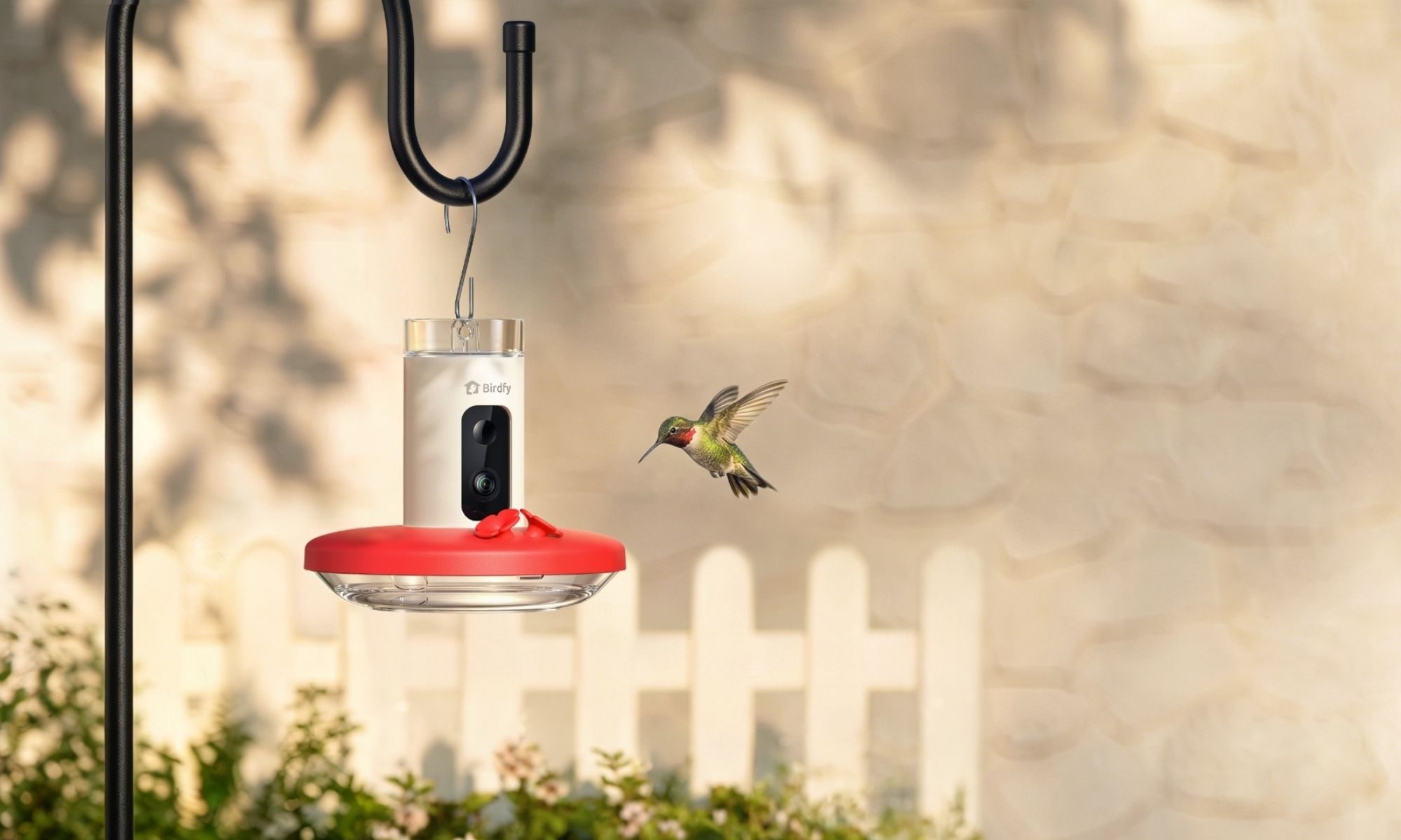 Birdfy Hum Feeder