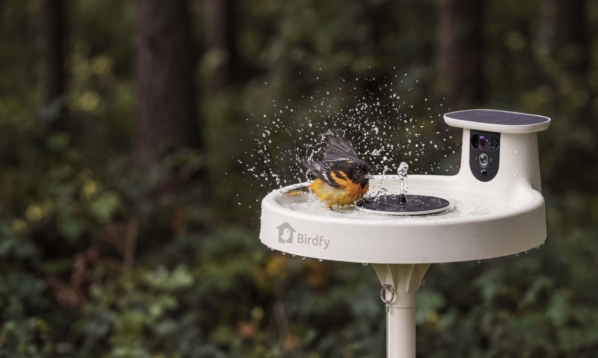 Birdfy Bath Pro