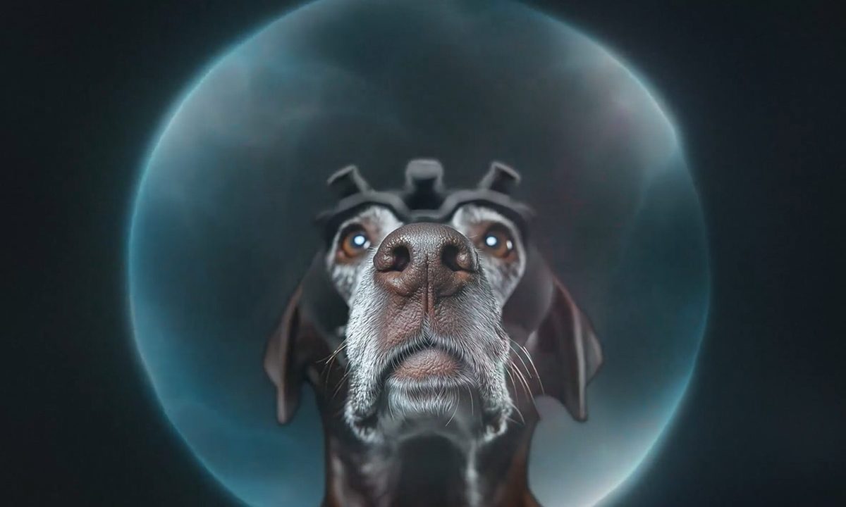 Dognosis, Indian Startup training AI and Dogs for cancer-screening Featured Image