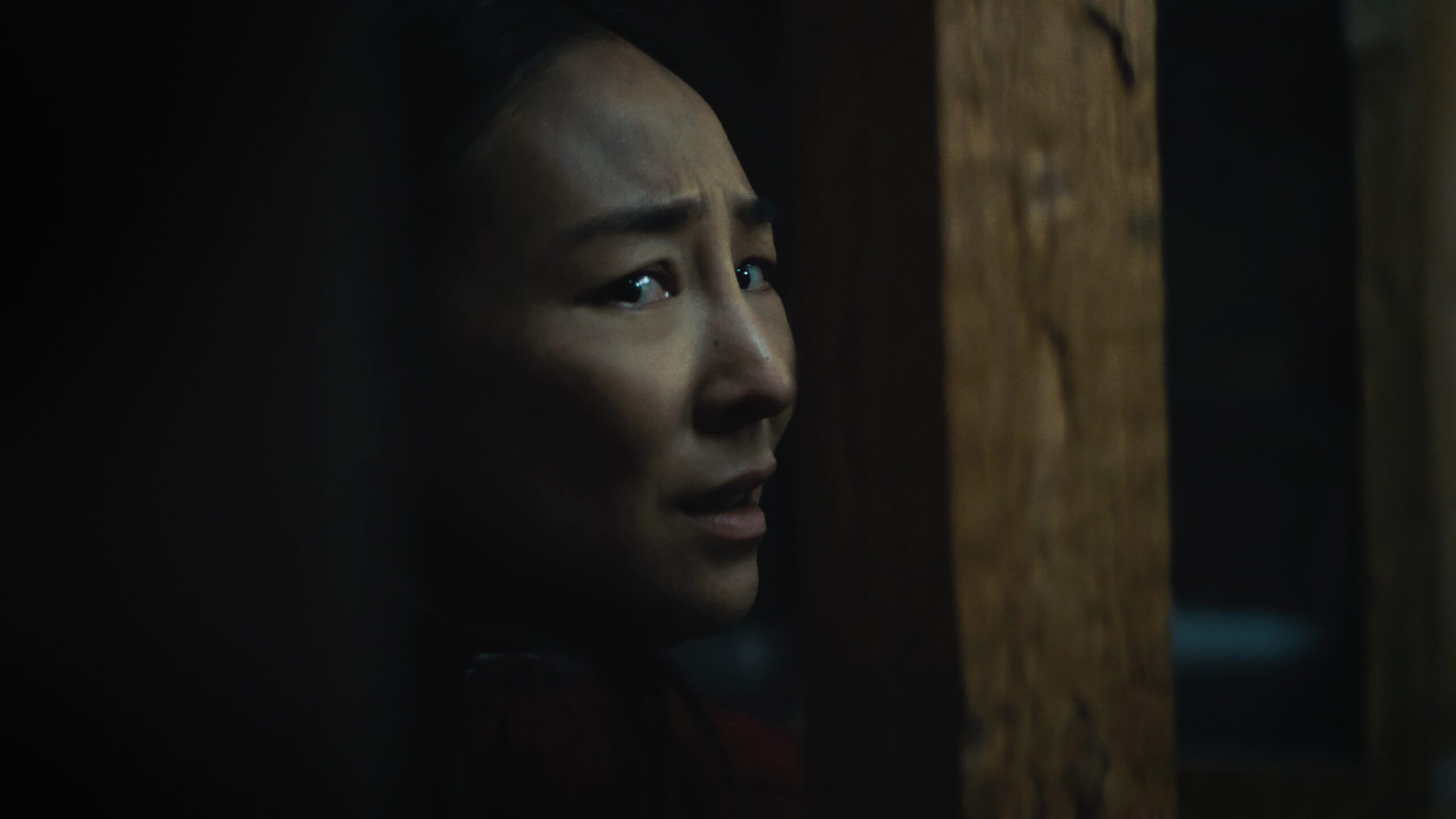 Greta Lee as Ann in The Last House.