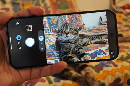 Pixel 11 Pro Turns Video Into Perfect Cat Photos
