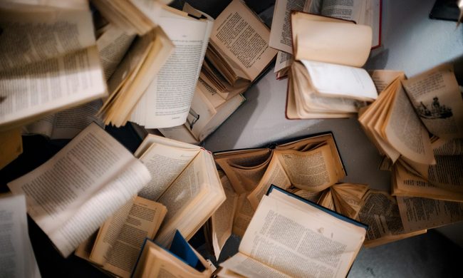 Book, Publication, Text