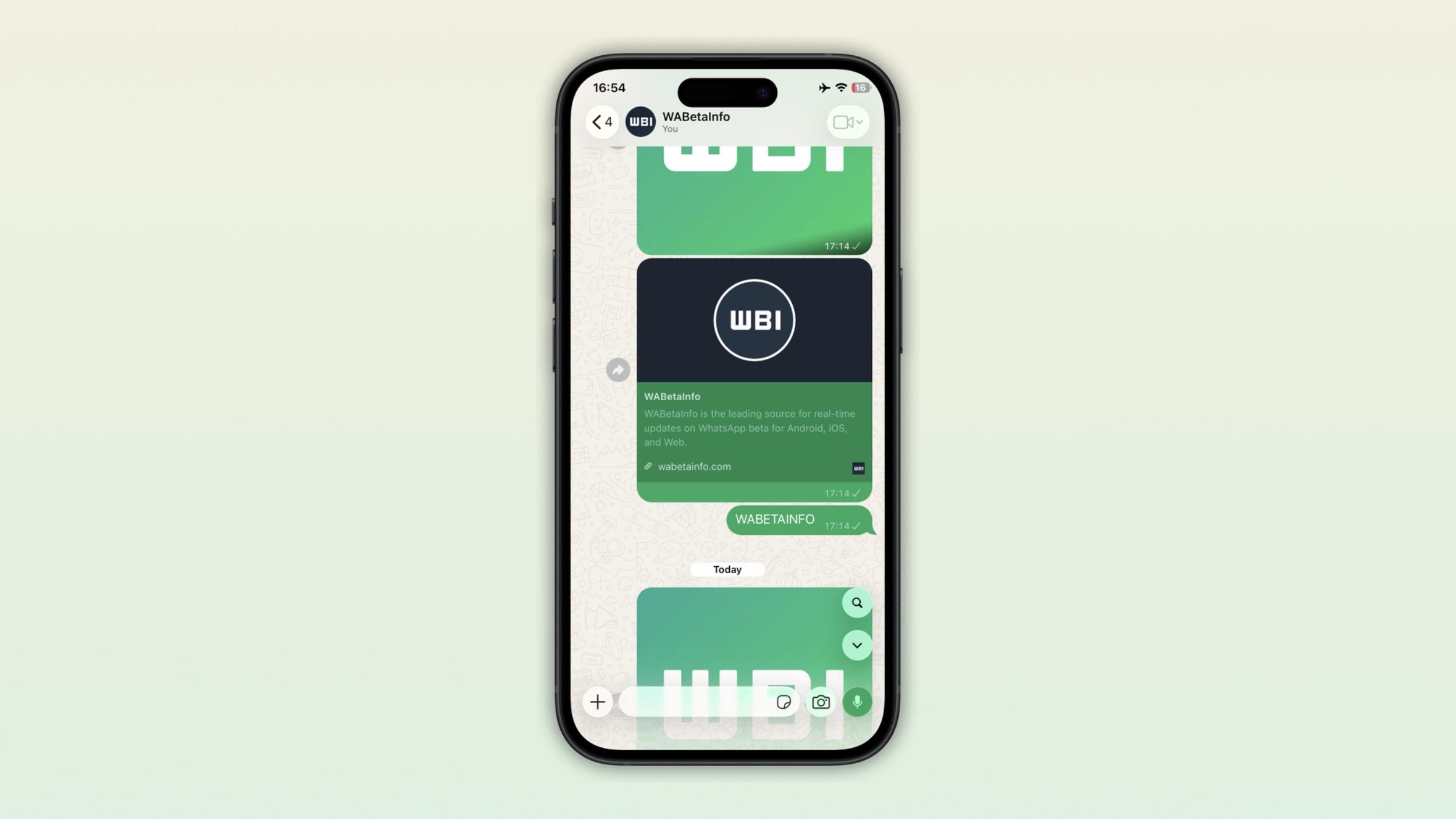 WhatsApp in chat search featurehone
