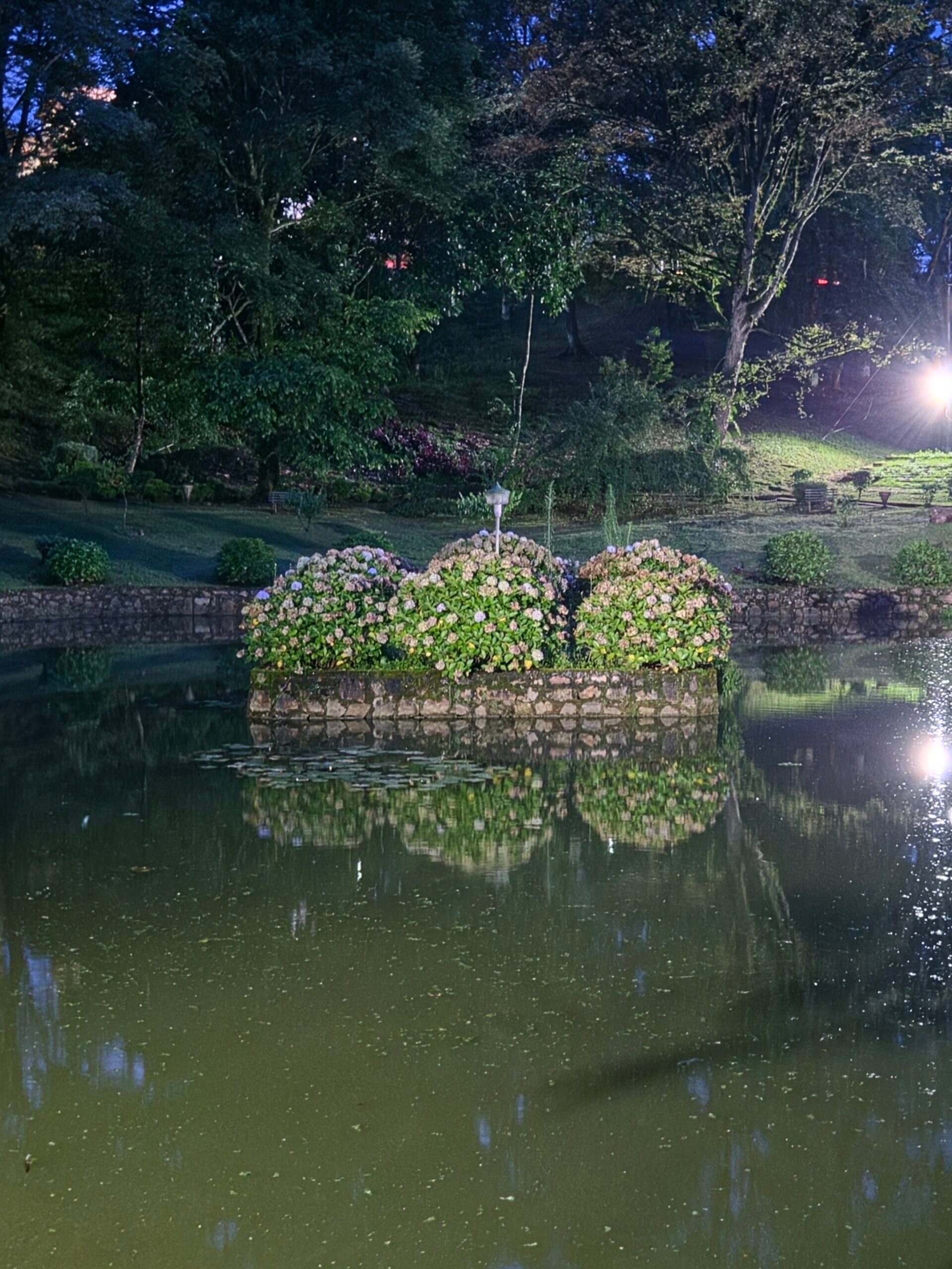 Camera clicks from Samsung Galaxy Z Fold 8