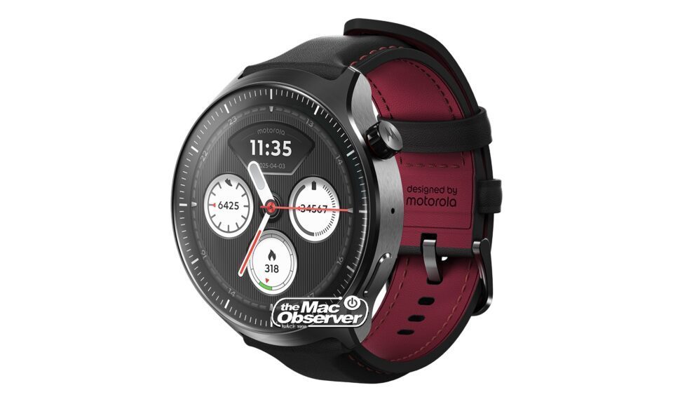 Wristwatch, Arm, Body Part