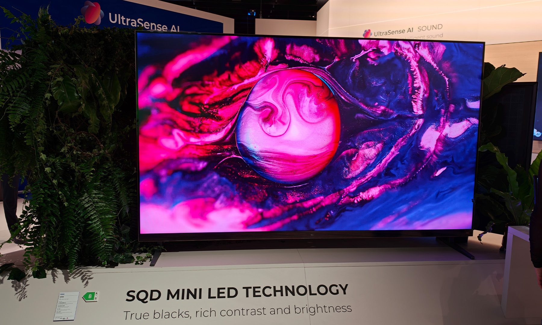Haier TV with SQD Mini LED Technology and UltraSense AI showcased at IFA 2026