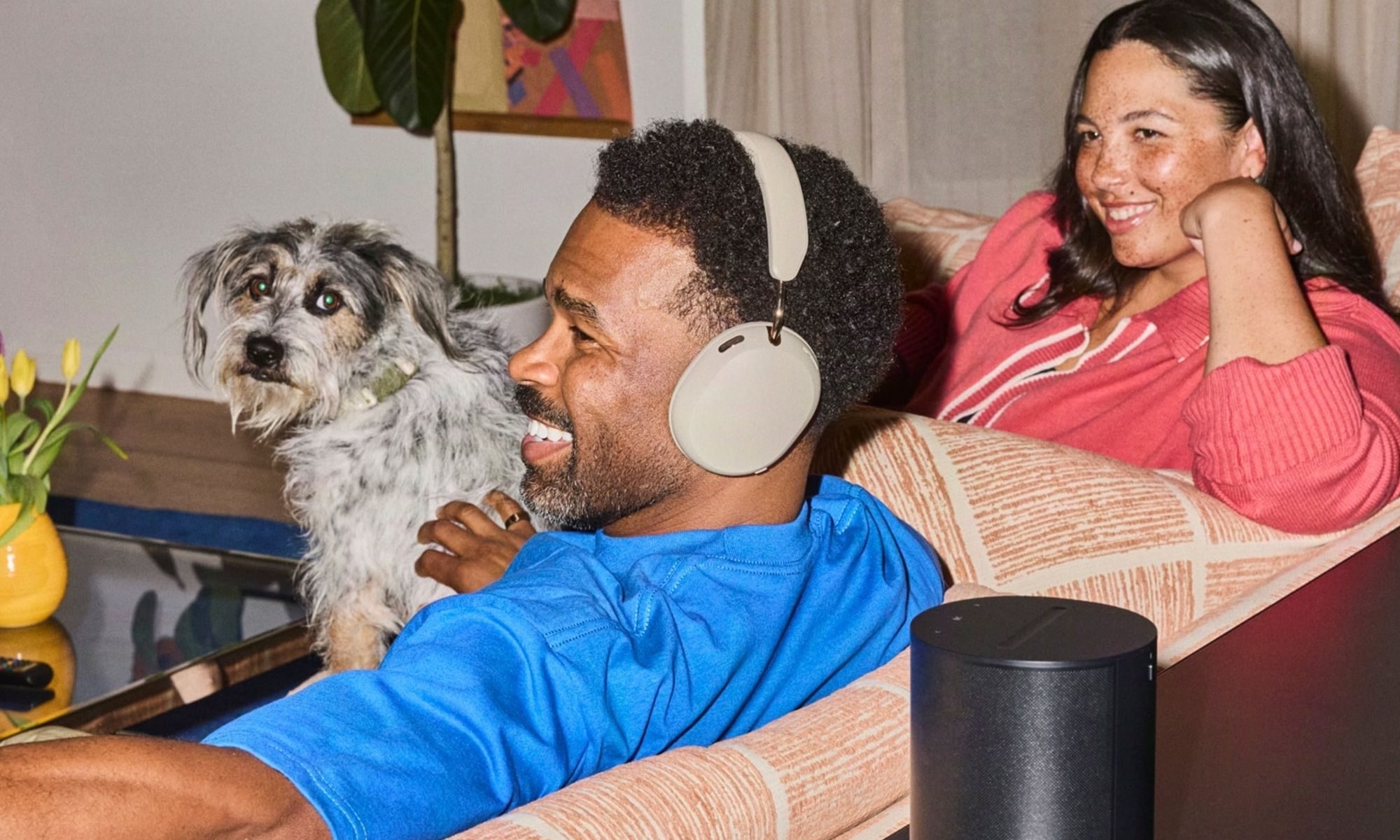 Sonos headphones, Person, dog
