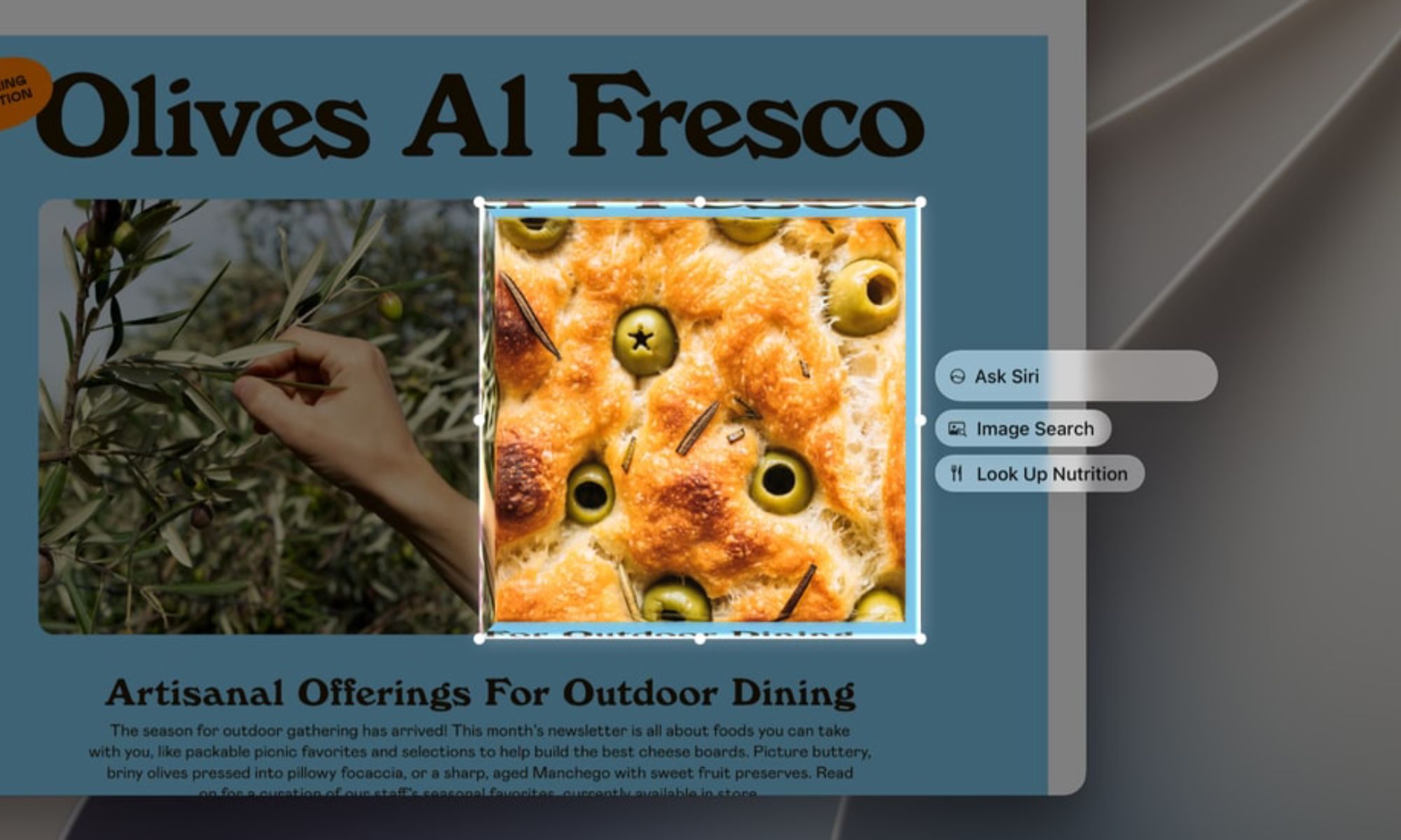Visual Intelligence on Mac running macOS 27