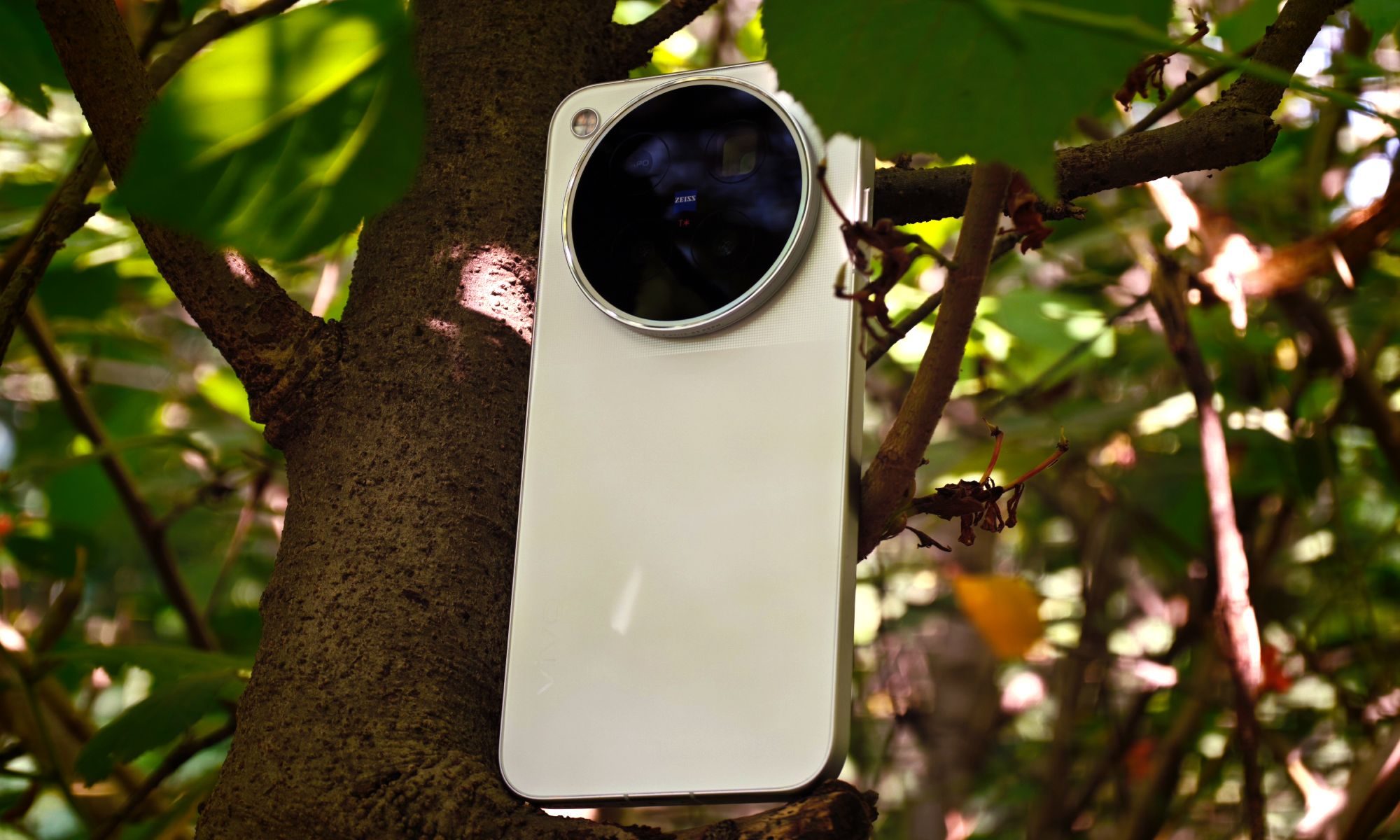 Vivo X500 Pro Max on a tree line