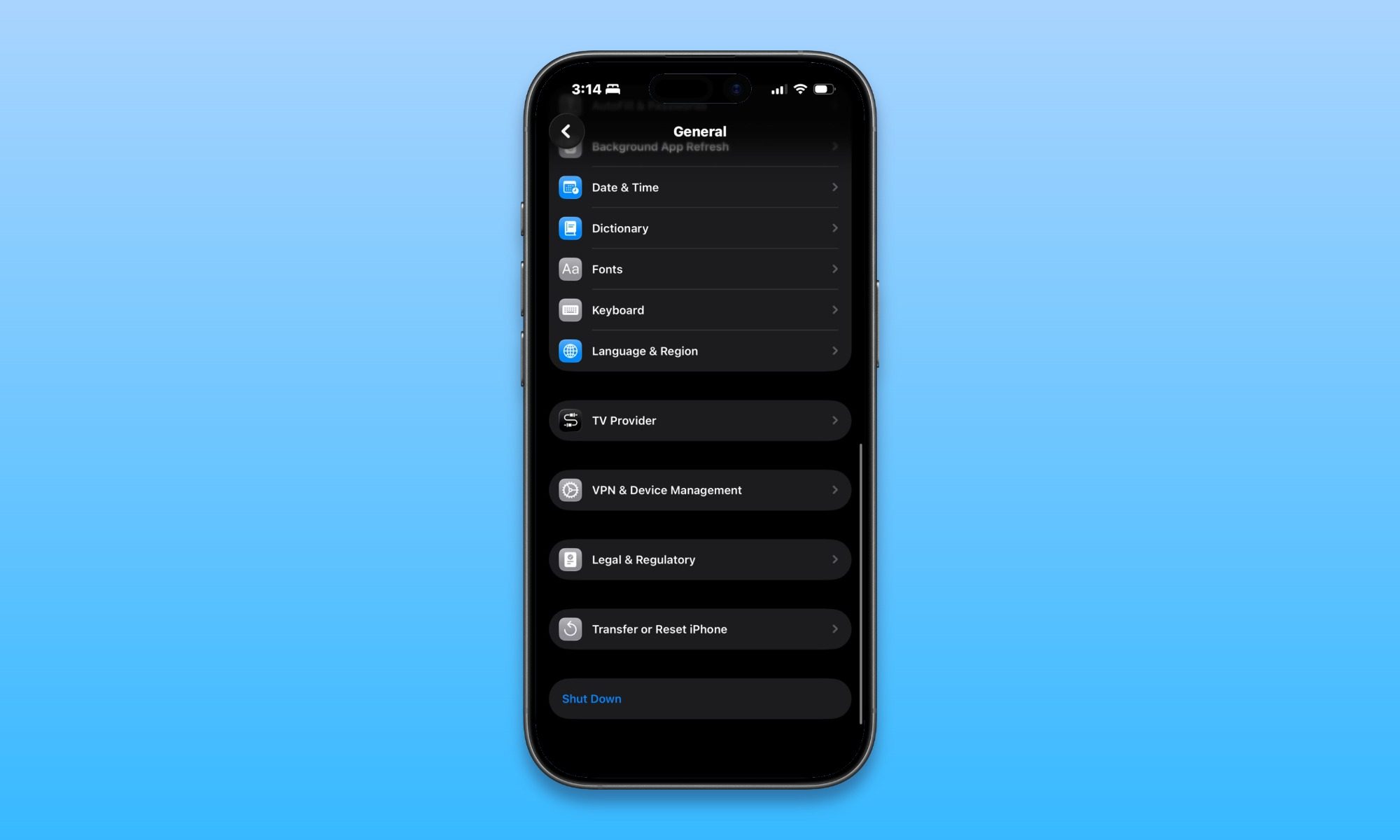 iPhone mockup showing Transfer or Reset iPhone option in Settings