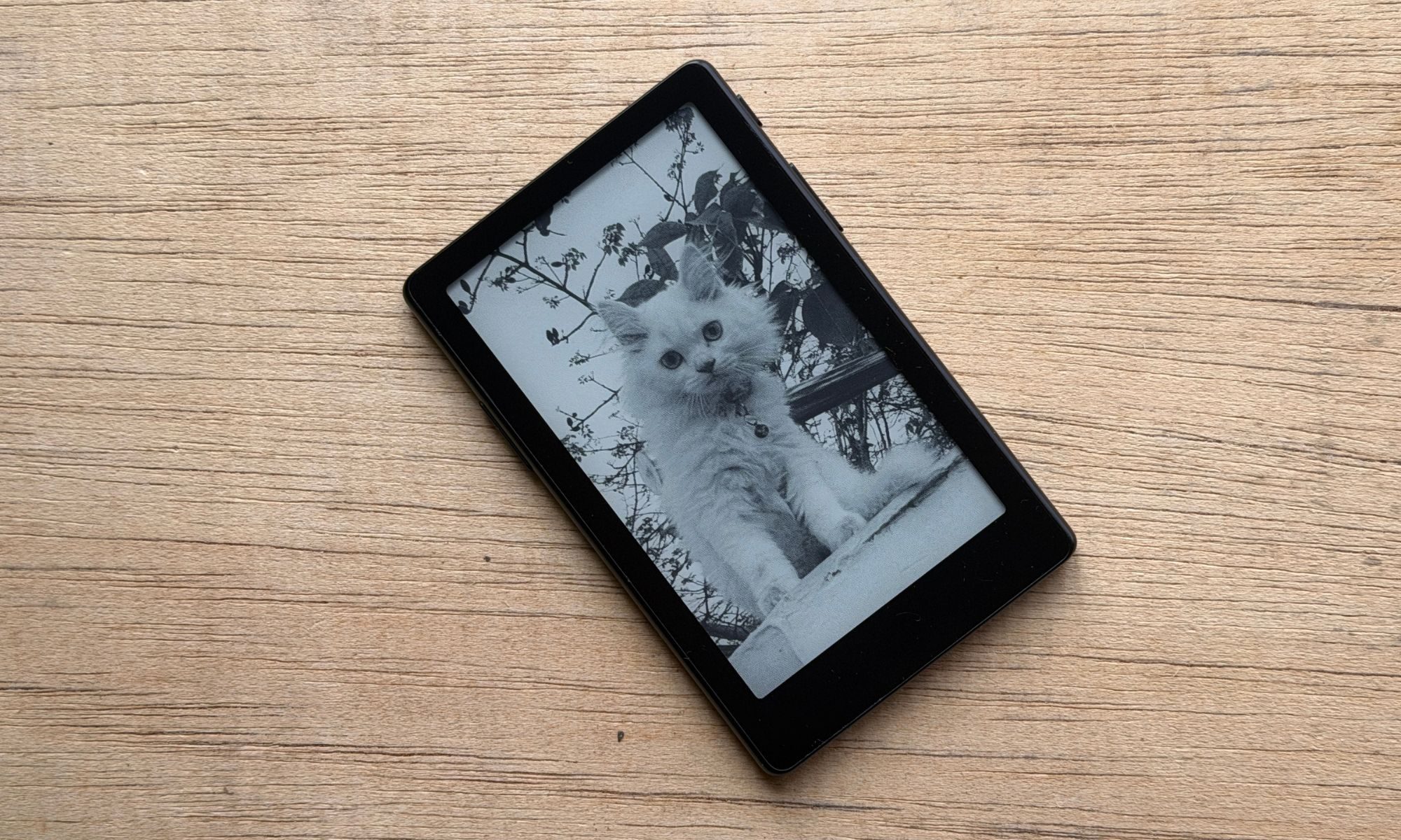 XTEINK X4 Pro ereader.
