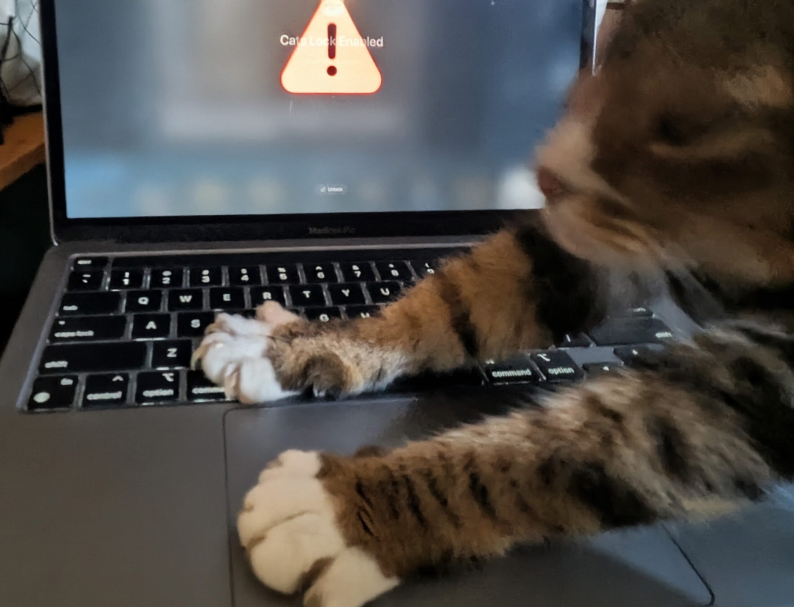 Computer, Electronics, Laptop