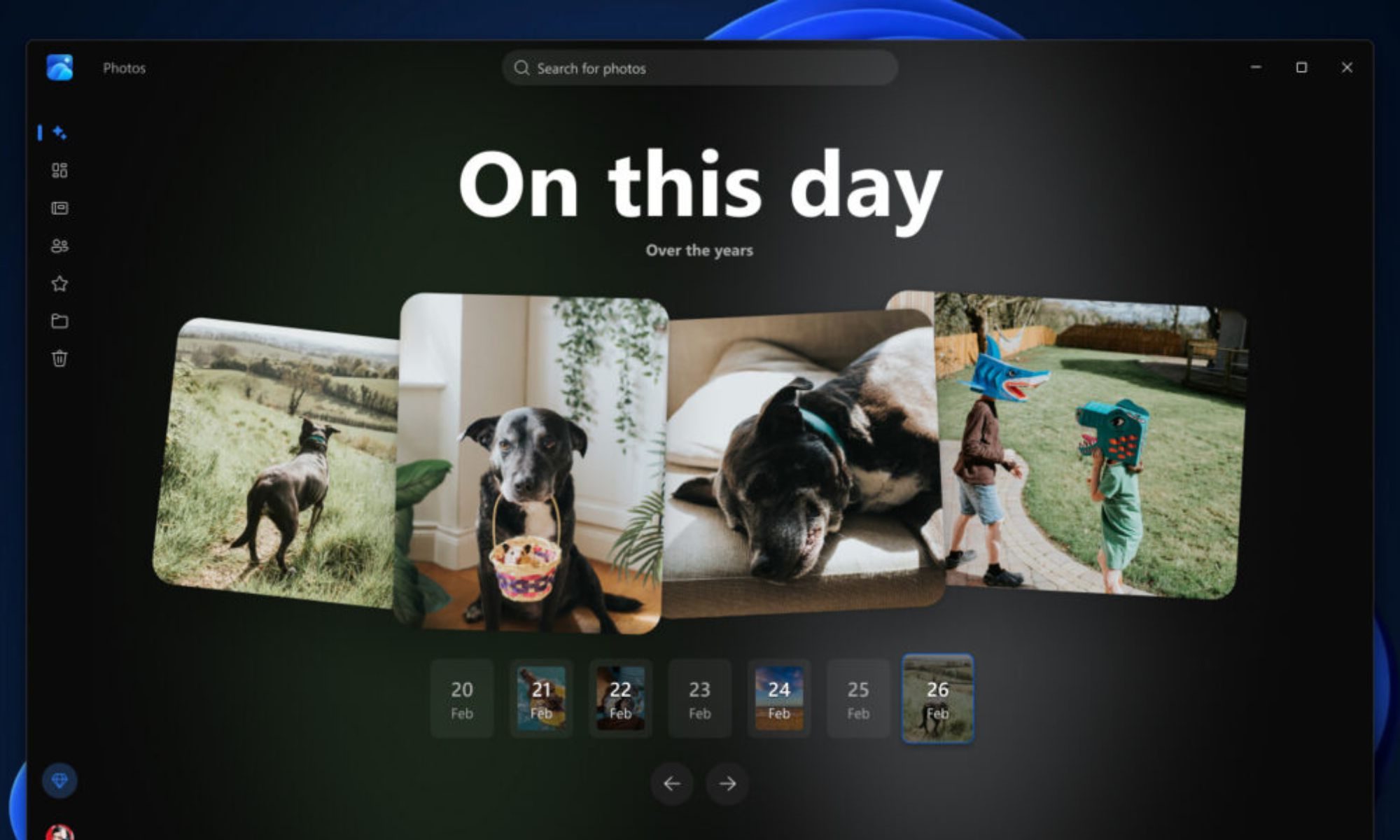 Computer, Electronics, Animal