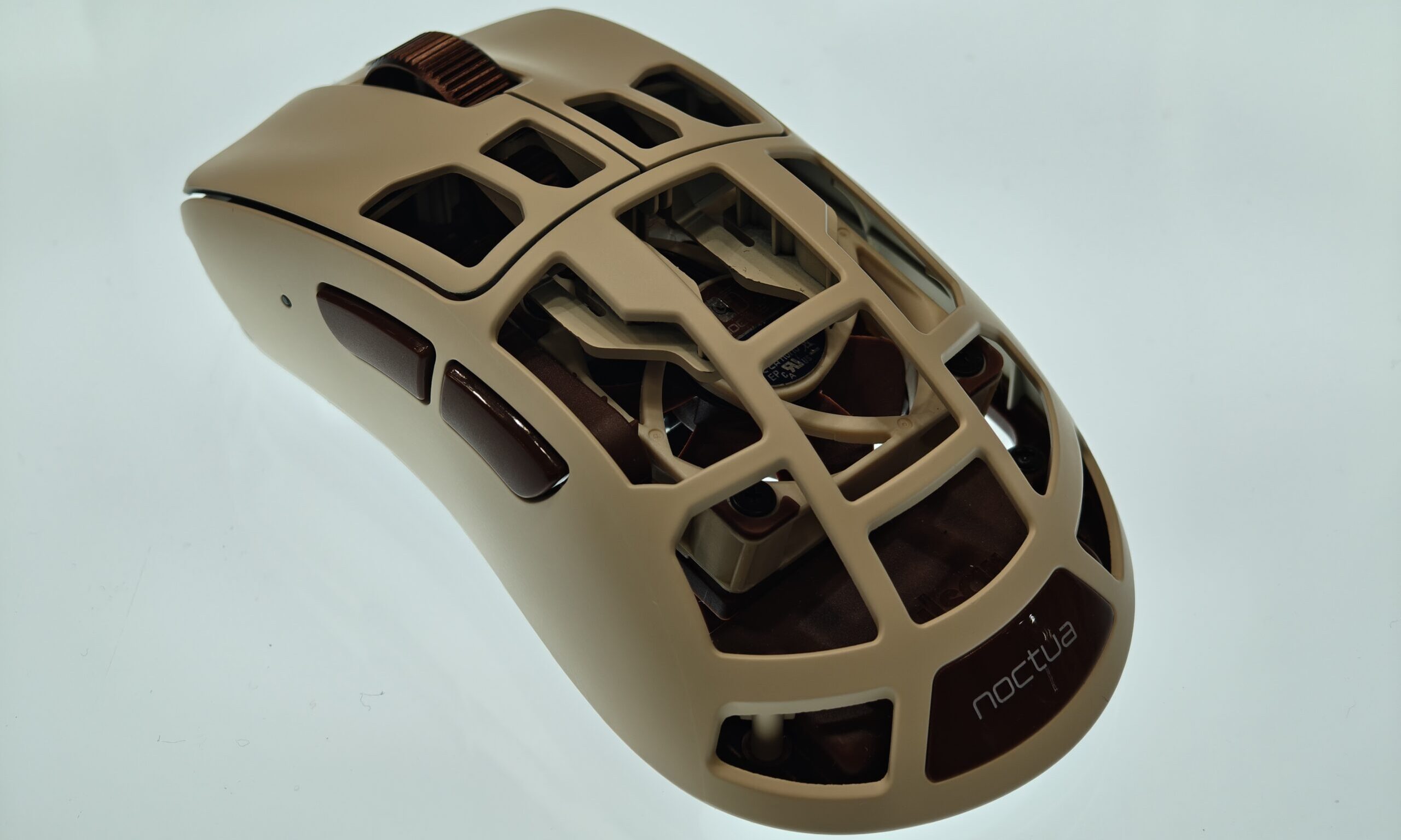 Pulsar-Feinmann-F01-Noctua-