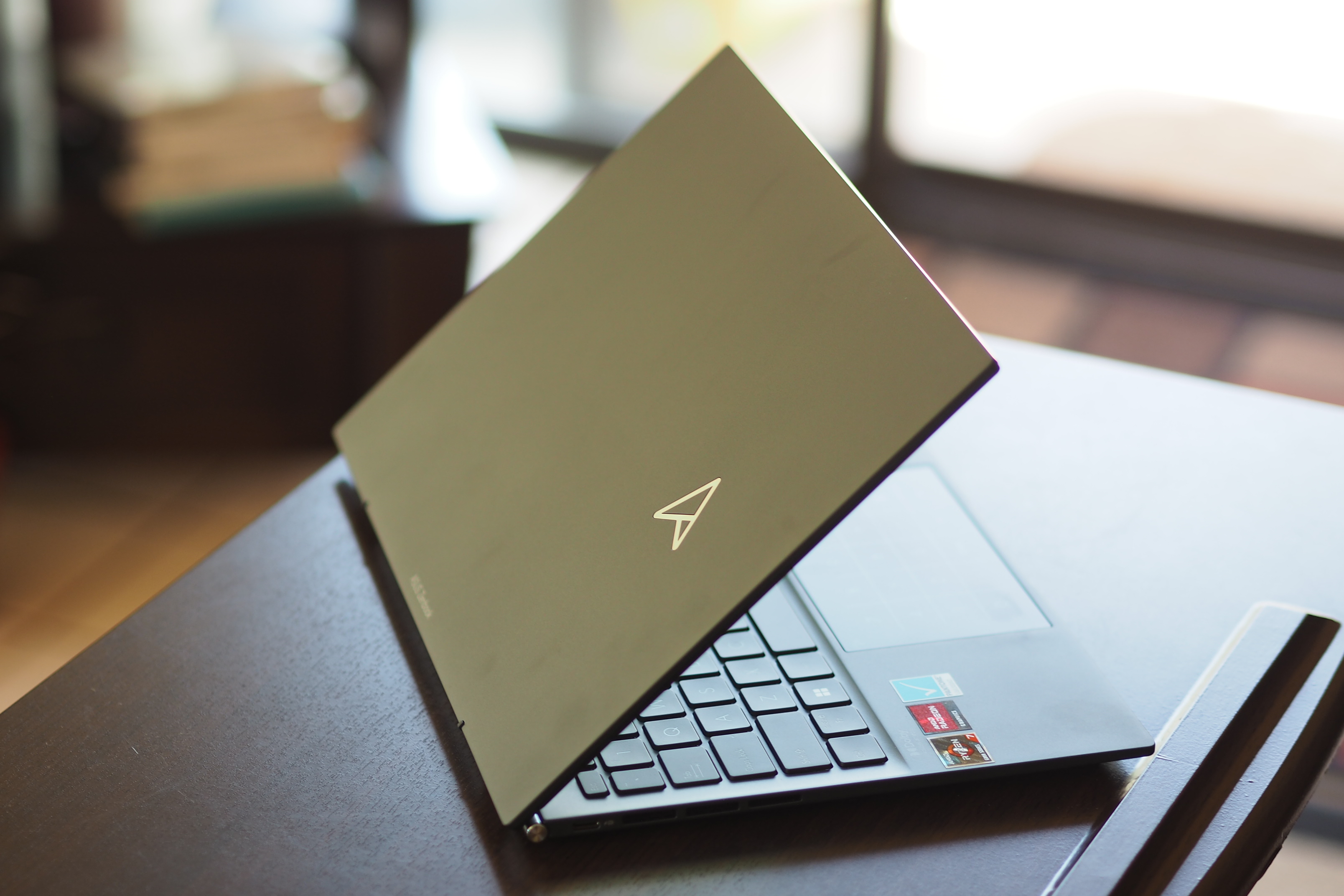 ASUS Zenbook S 13 UM5302, OLED Laptops
