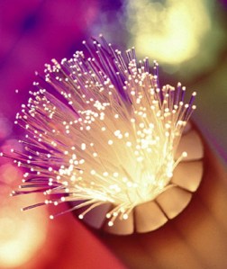 Fiber Optic Beauty Shot