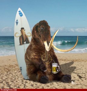 surfer-mammoth-with-beer
