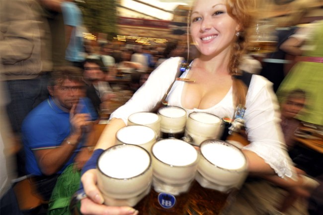 beer-alcohol-drinking-oktoberfest