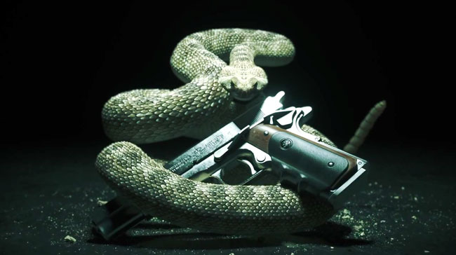 Hitman Absolution Snake Gun