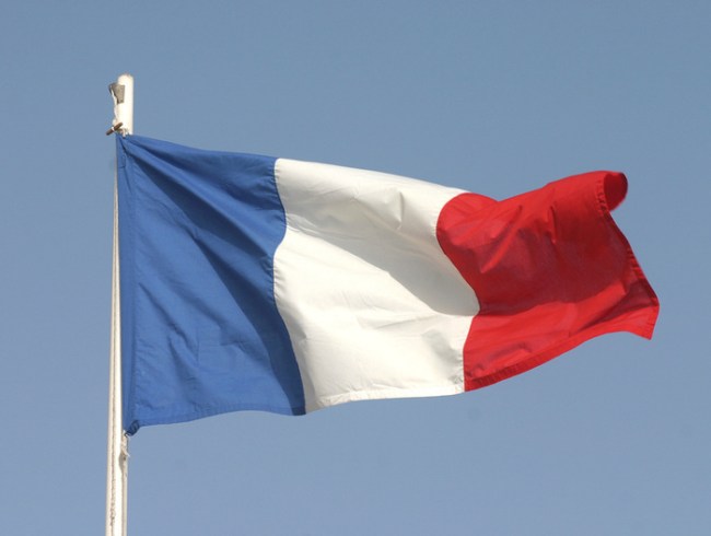 french-flag-facebook-twitter
