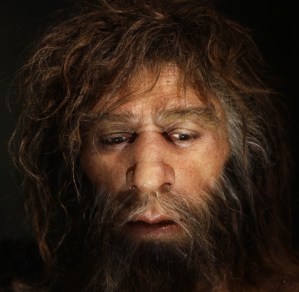 neanderthal-museum-ib-times