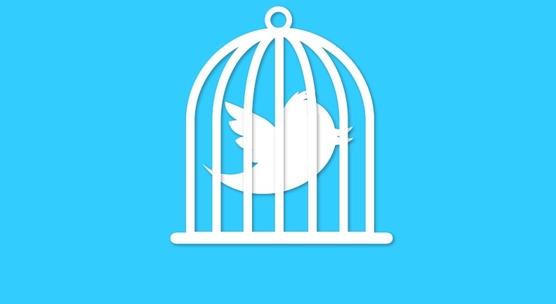Twitter Bird Cage