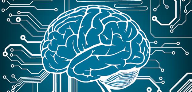 brain tech evolution memory