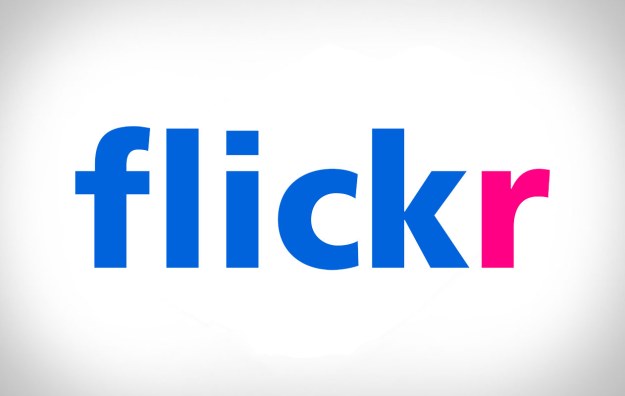flickr bug