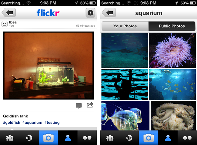 flickr hashtag integration