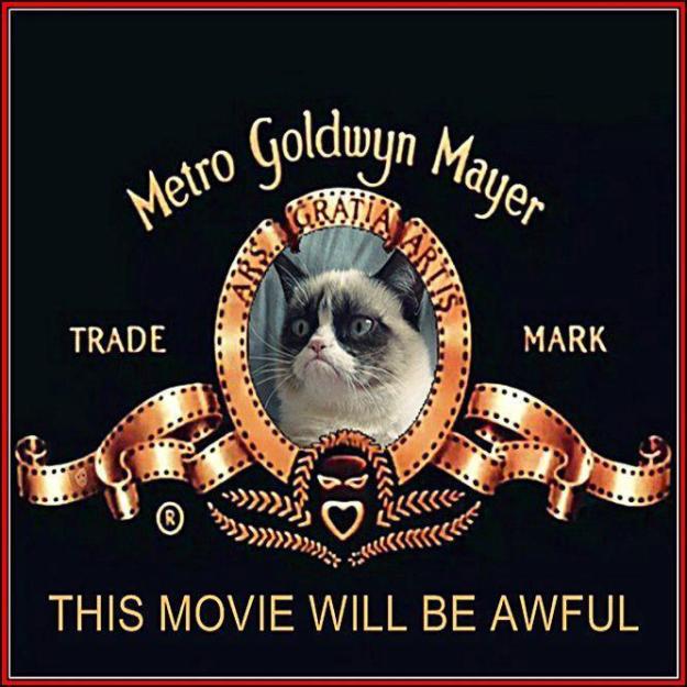 Grumpy Cat the movie