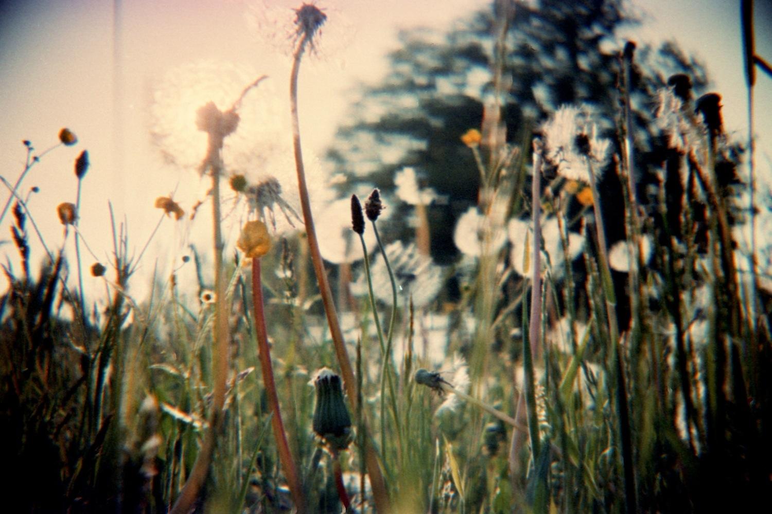 Lomography introduces an SLR camera kit that you put together | Digital ...