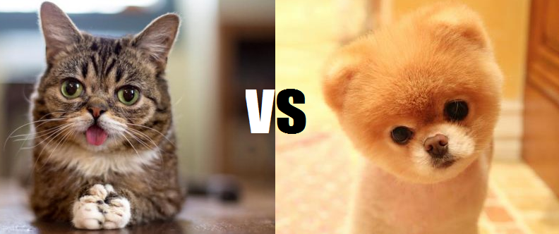 are dogs more preferred than cats