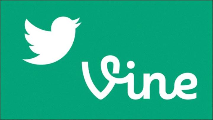 vine and twitter