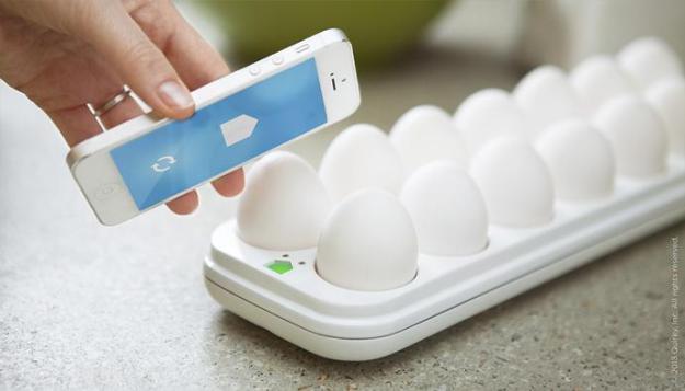 Quirky Egg Minder phone