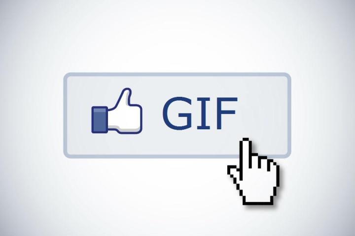 the best gifs to use in response prototypical fb posts  gif guide