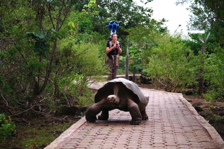 galapagos islands comes to street view galapago