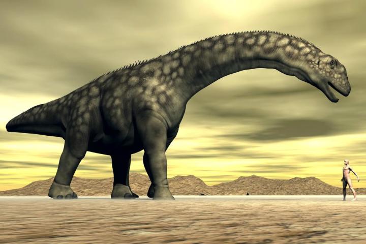 worlds biggest dinosaur takes first steps 94 million years digitally argentinosaurus