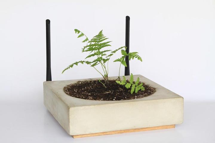 grow garden router planter