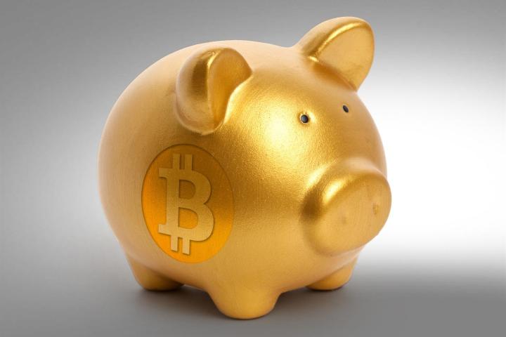 everyone planet invest bitcoin piggy bank 2