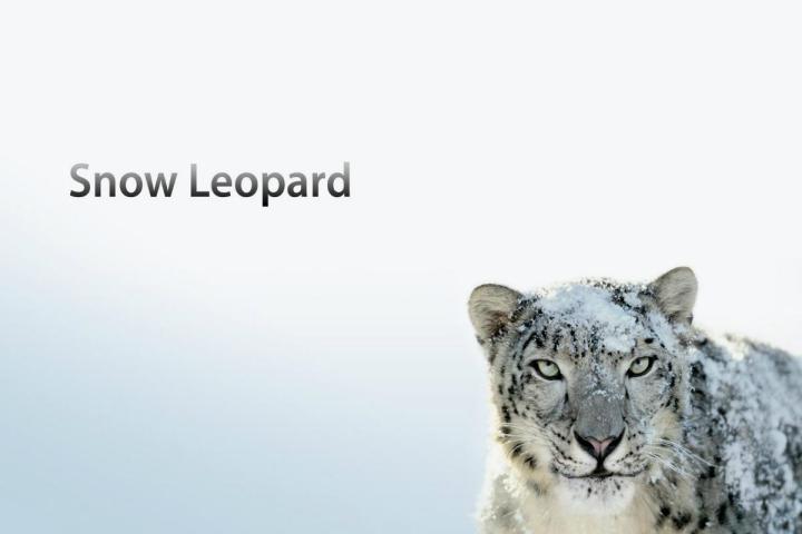 mavericks mountain lion got updates apple snow leopard cold shoulder wallpaper hd