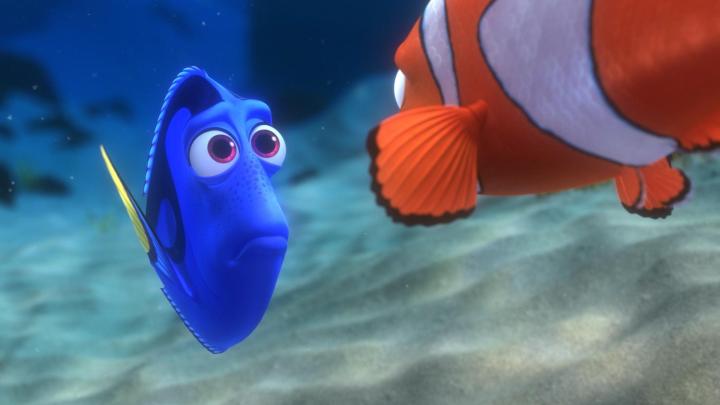 Dory searches for answers in Finding Nemo.
