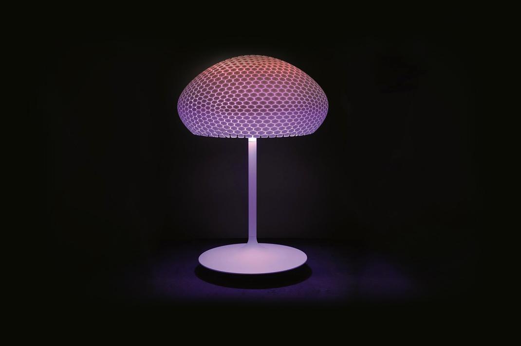 Philips 3D printed hue lamps Luminaires DragonflyTafel Paris
