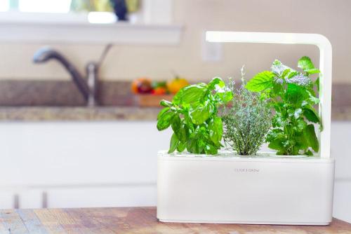 new click grow smart herb garden launches worldwide today  amp