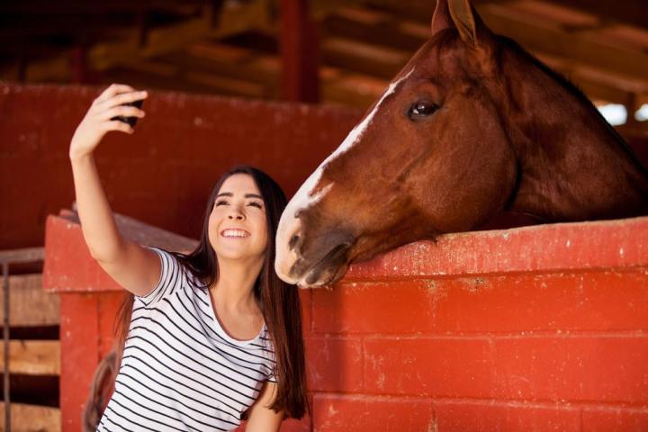 google appsperiments photo apps horse selfie