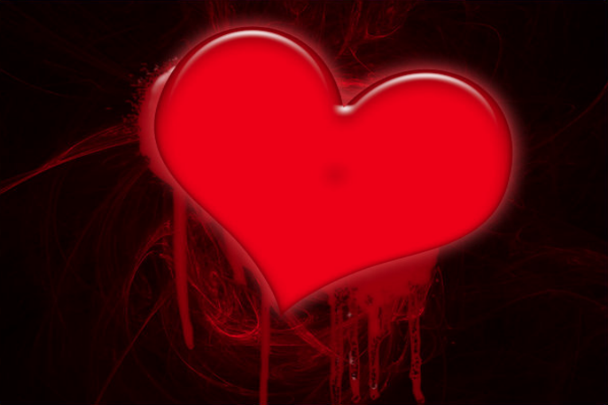 canadian teen charged using heartbleed steal taxpayer information bleeding heart 2